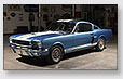 Shelby Mustang